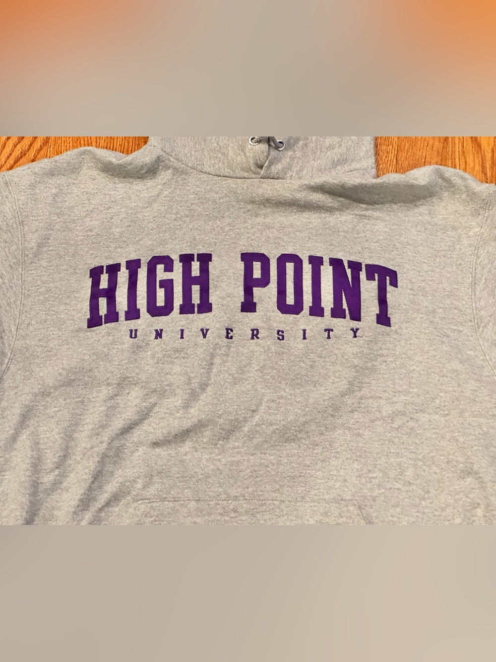Champion High Point University Hoodie Sweatshirt Gray Purple Arc Logo | Large